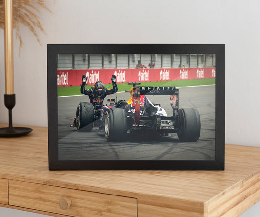 sebastian vettel redbull frame