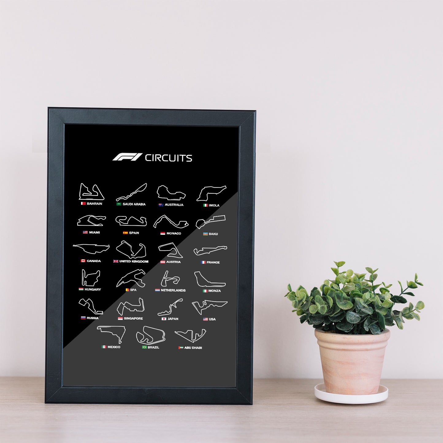 F1 circuits