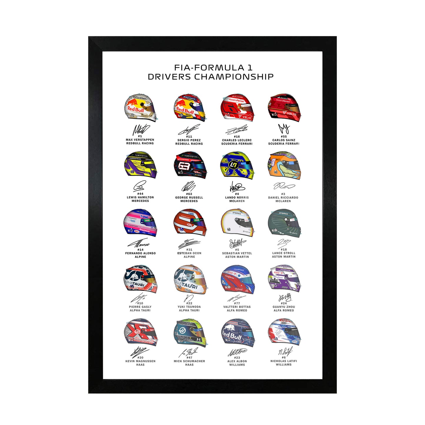 F1 Drivers Helmet Art