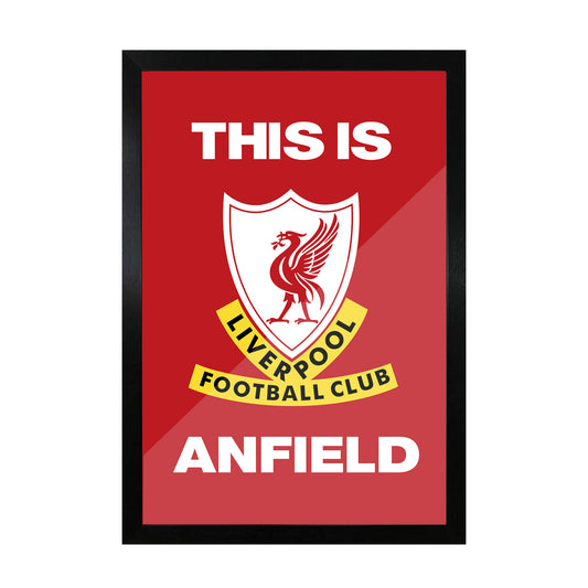 Liverpool FC frame