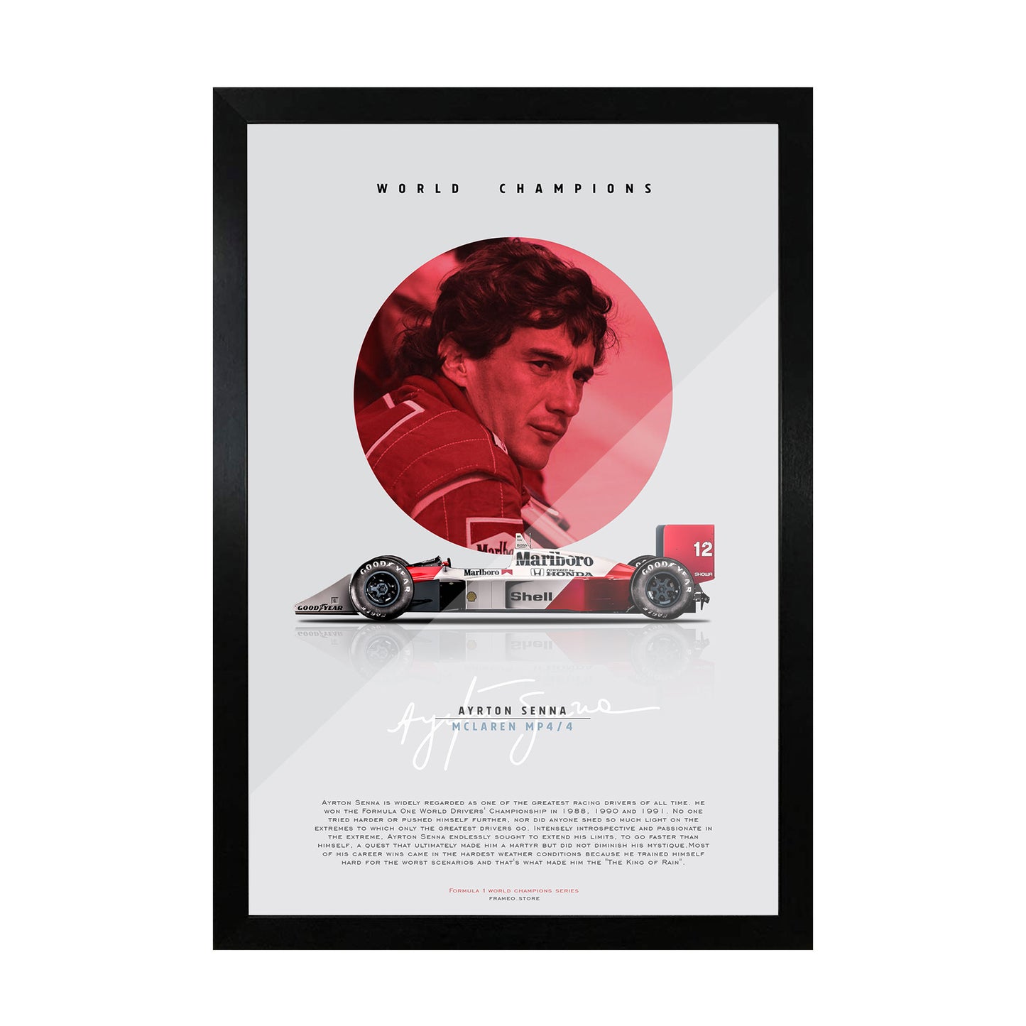 Ayrton Senna - World Champions Series