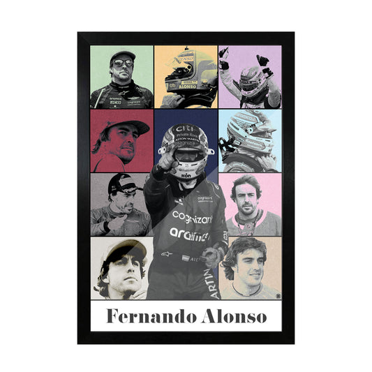 Fernando Alonso Tribute frame