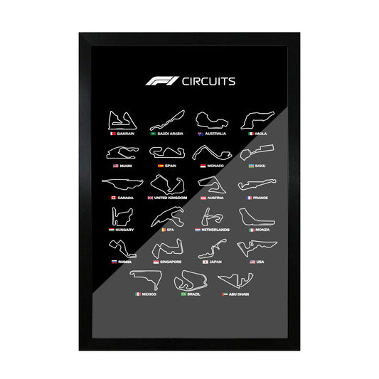 F1 circuits