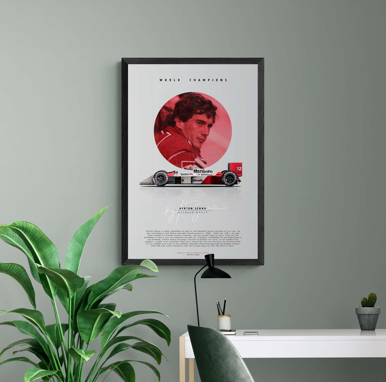 Ayrton Senna - World Champions Series